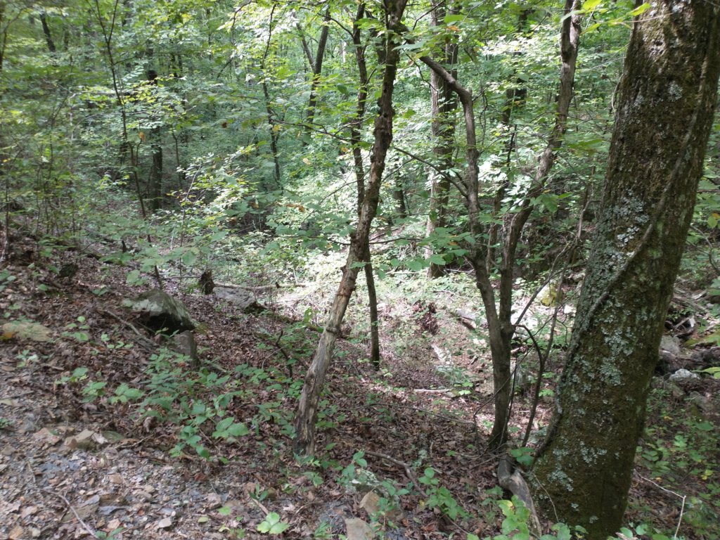 img_20220905_132012418.jpg