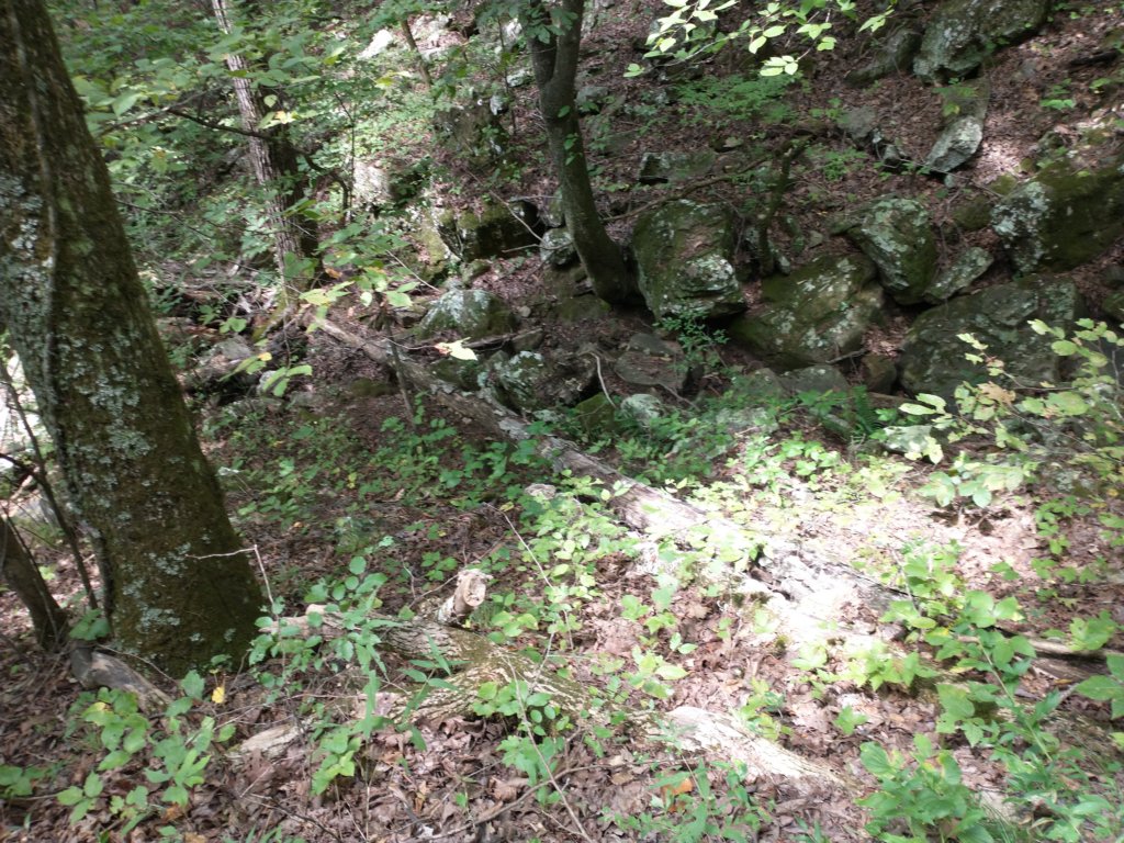 img_20220905_132016316.jpg
