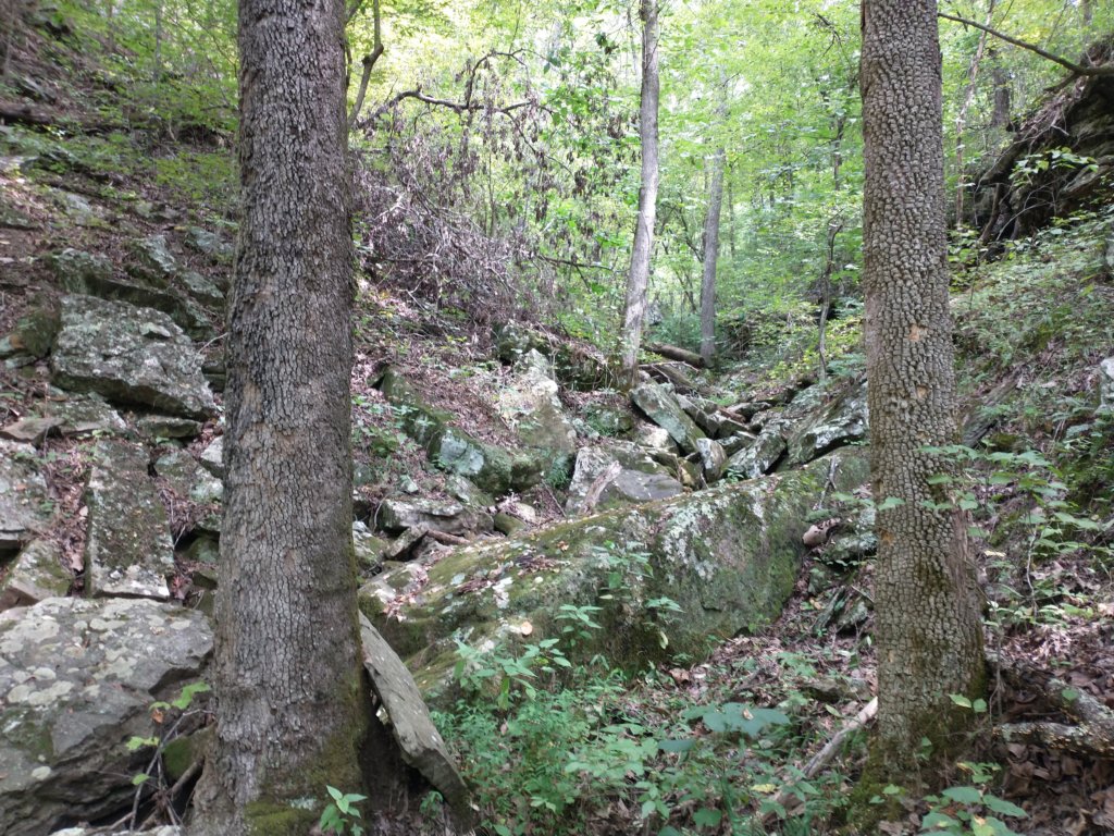 img_20220905_132035148.jpg