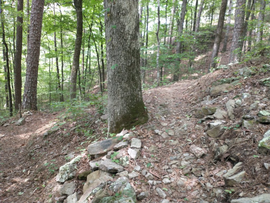 img_20220905_132146579.jpg