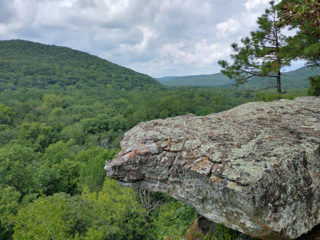 img_20220905_132448398_hdr.jpg