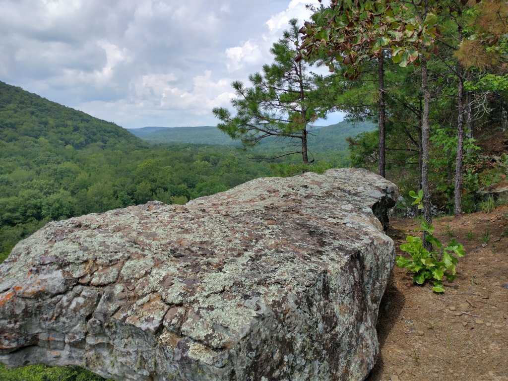 img_20220905_132452780_hdr.jpg