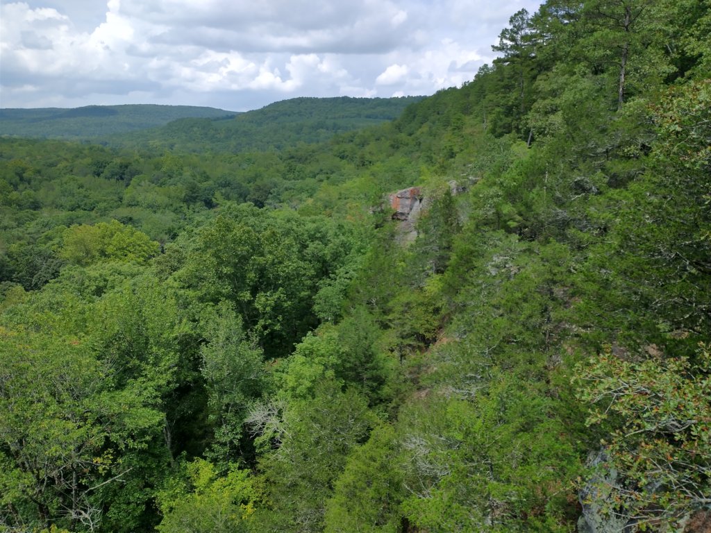img_20220905_133107429_hdr.jpg