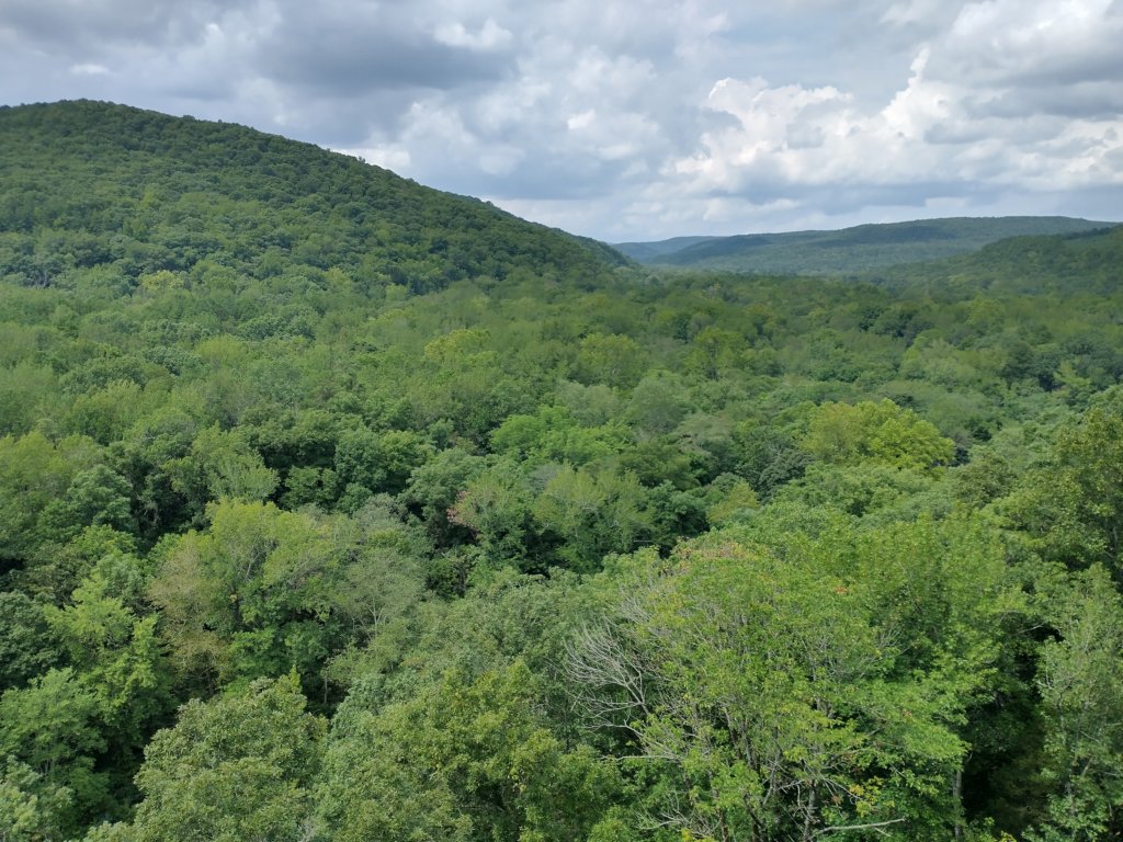 img_20220905_133137216_hdr.jpg