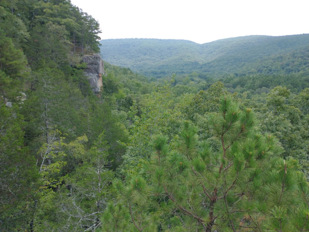 img_20220905_133751135.jpg