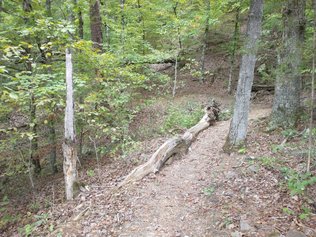 img_20220905_133958013.jpg