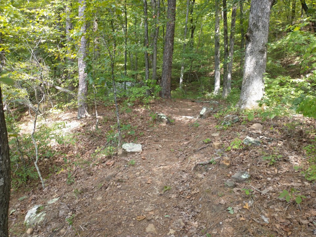 img_20220905_134437090.jpg