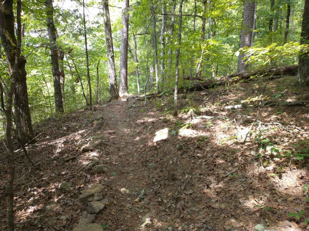 img_20220905_134533276.jpg