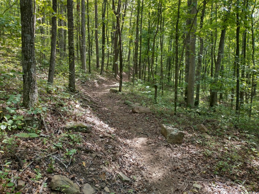 img_20220905_135129369_hdr.jpg