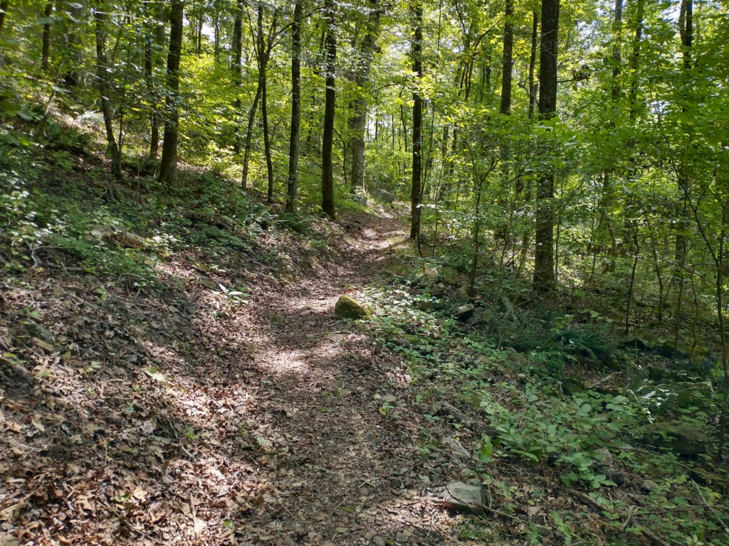 img_20220905_135907005_hdr.jpg