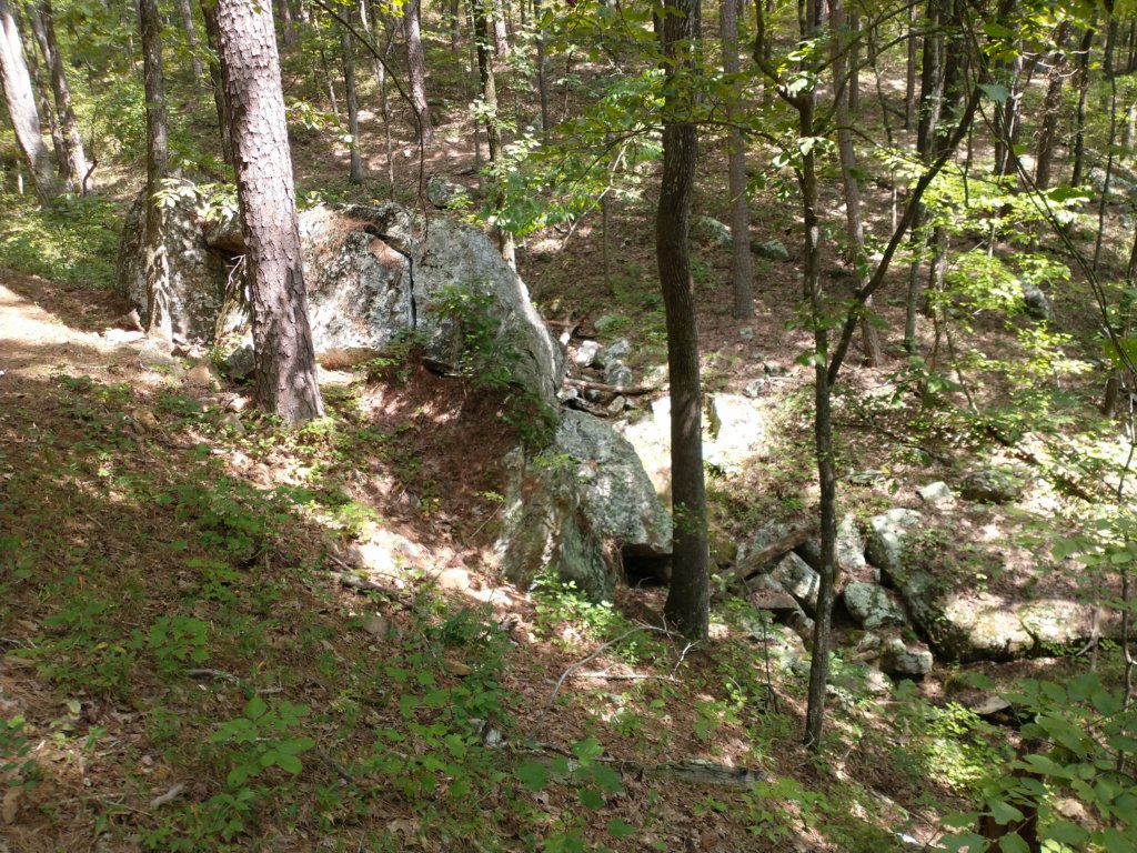 img_20220905_140303348.jpg