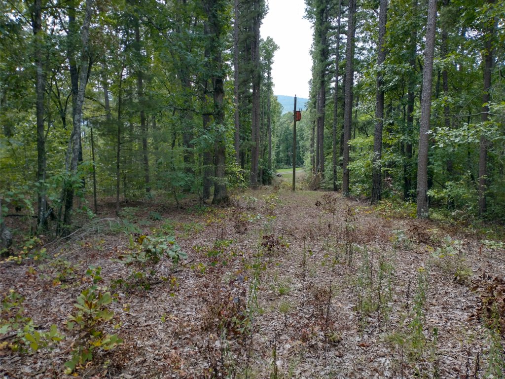 img_20220905_140755911_hdr.jpg