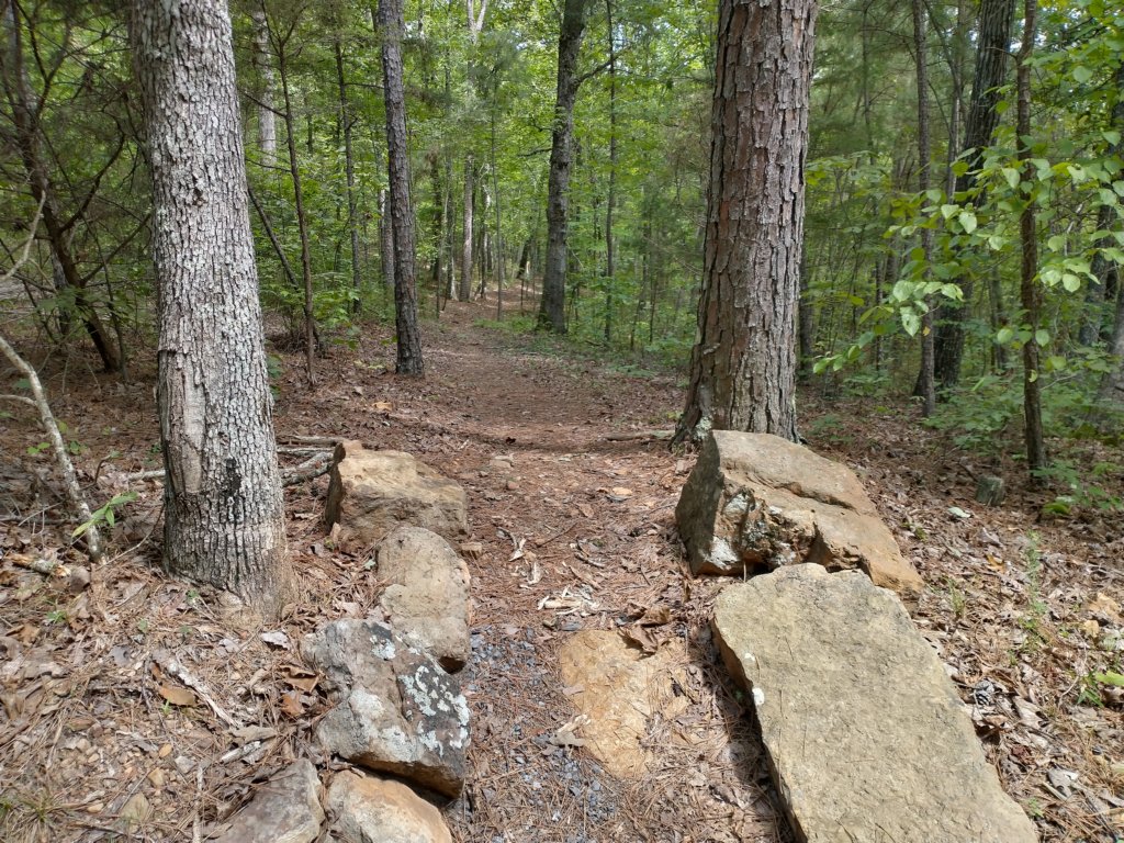 img_20220905_140903970_hdr.jpg