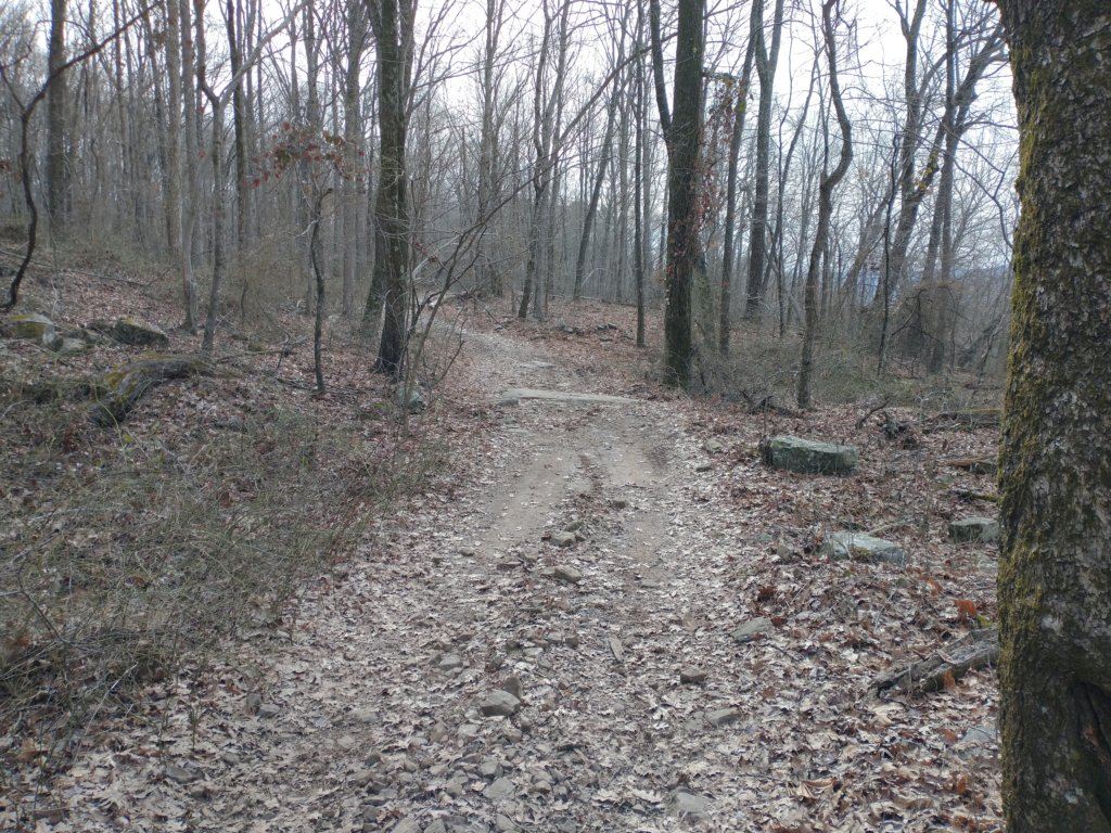 img_20230219_101028556.jpg