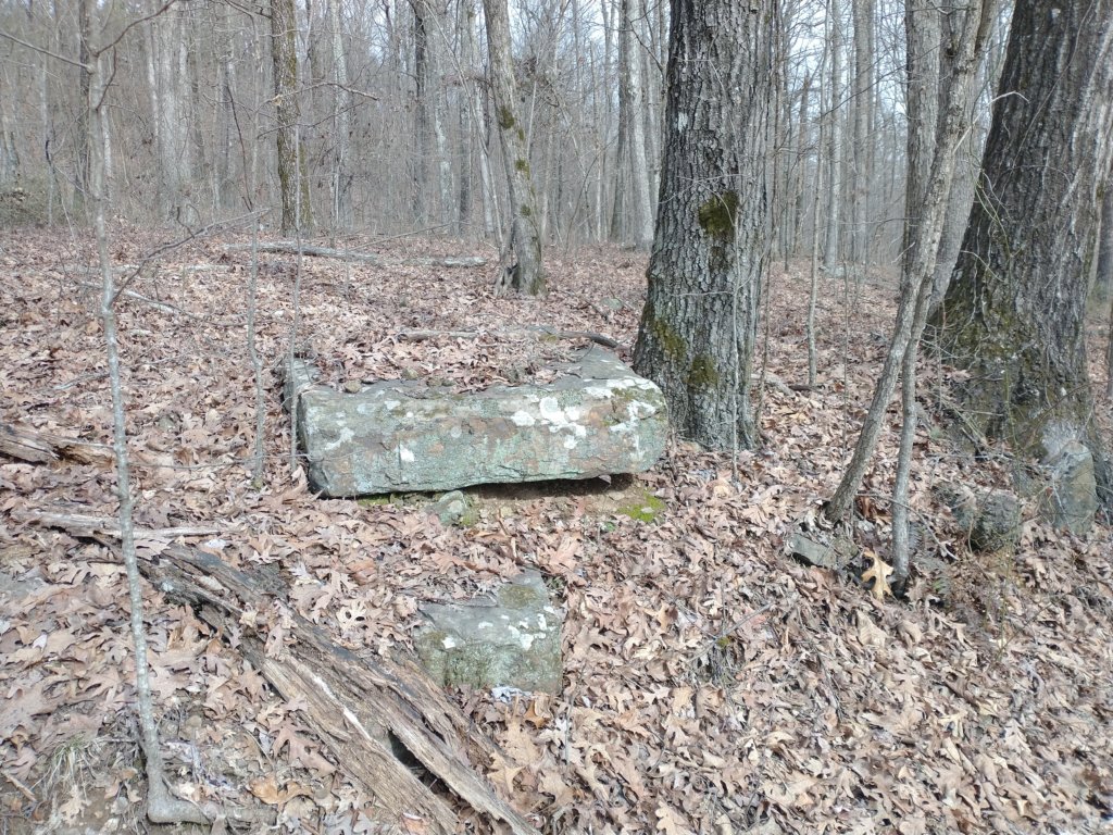 img_20230219_102151722.jpg