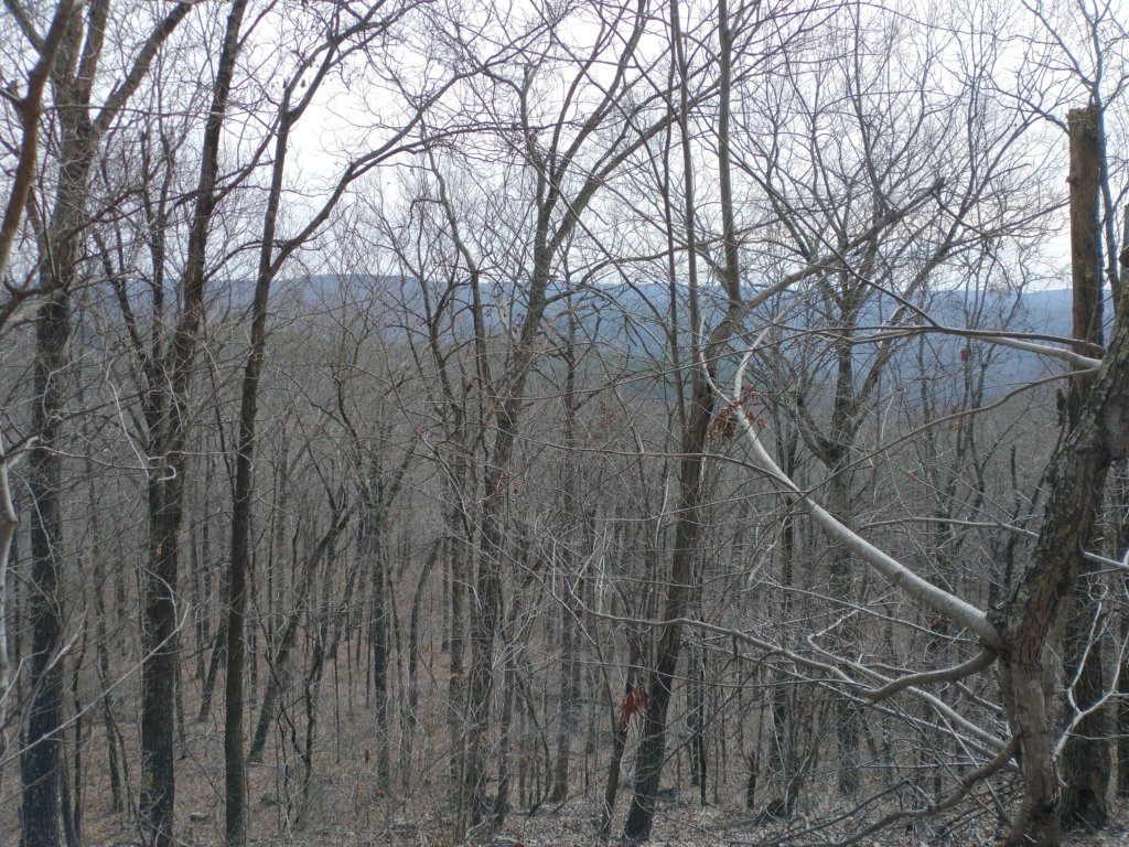 img_20230219_102356758.jpg