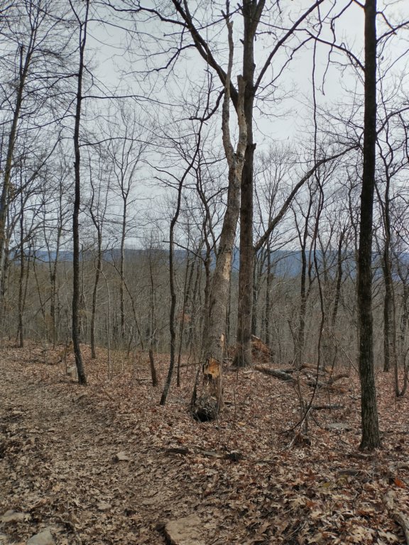 img_20230219_102821186_hdr.jpg