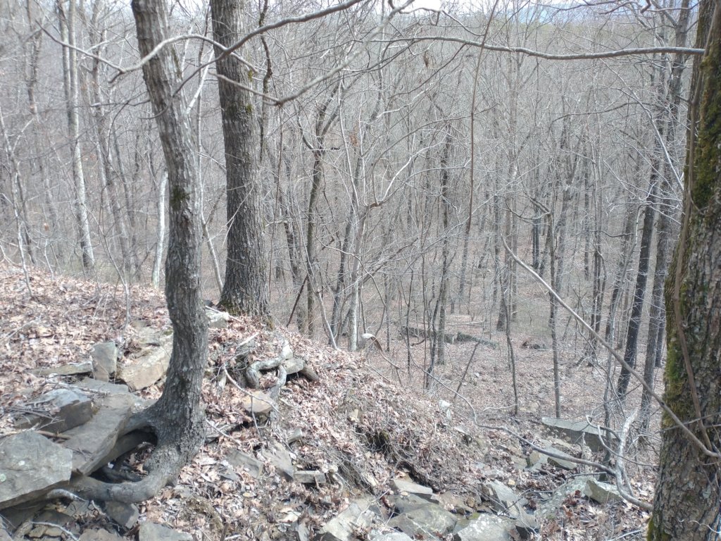 img_20230219_103204216.jpg
