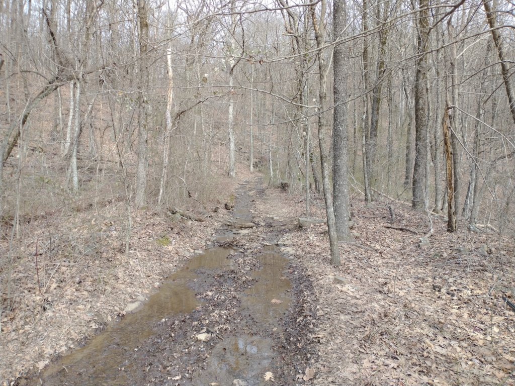 img_20230219_103339332.jpg
