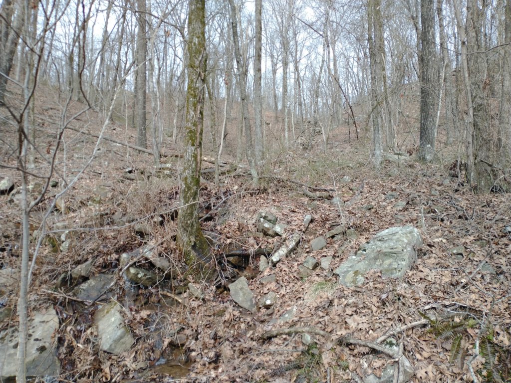 img_20230219_103514829.jpg