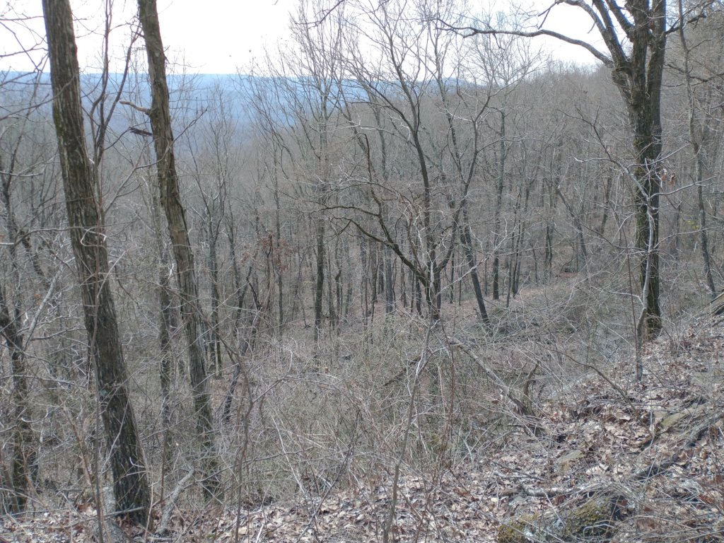 img_20230219_103738136.jpg