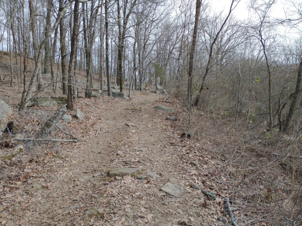 img_20230219_103741751.jpg