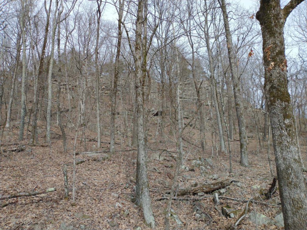 img_20230219_103751104.jpg