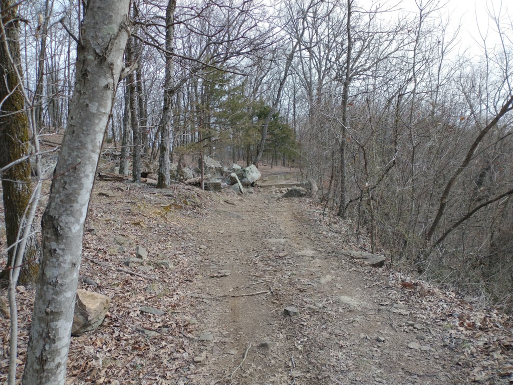 img_20230219_103822212.jpg