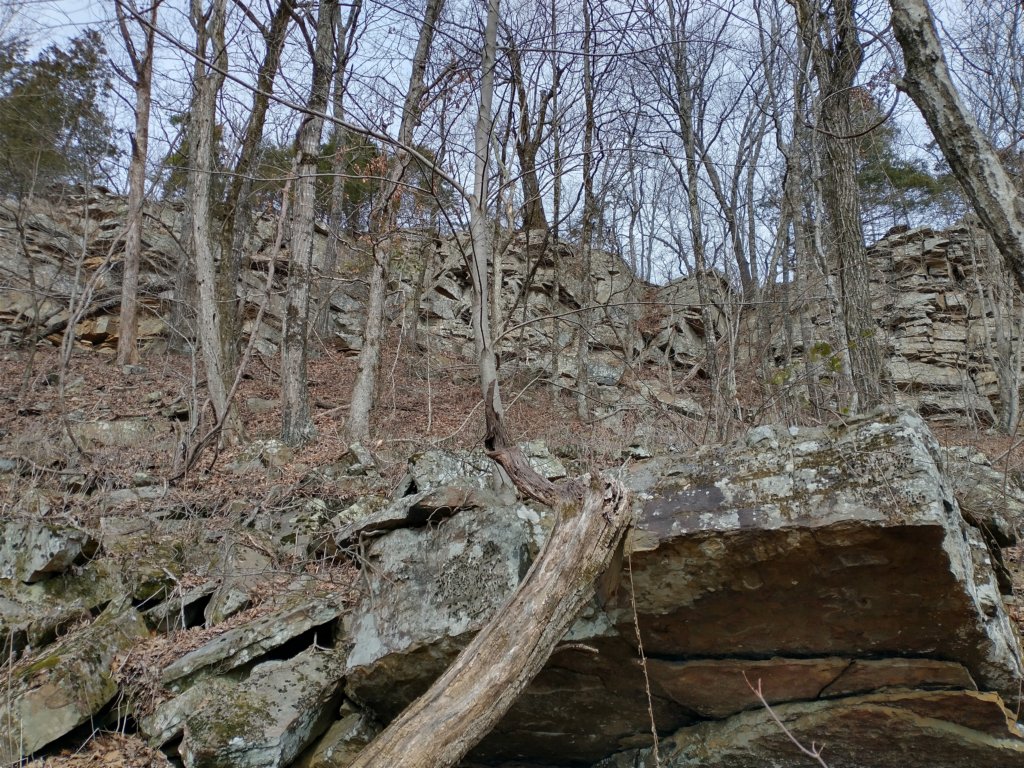 img_20230219_104208080_hdr.jpg