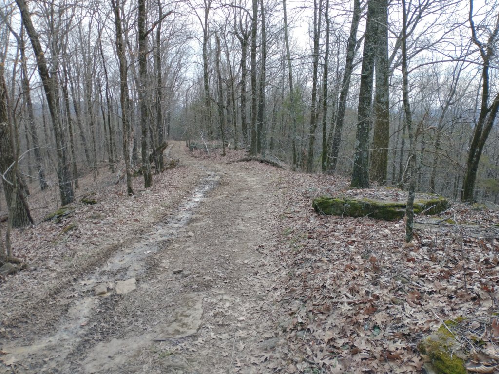 img_20230219_104835703.jpg