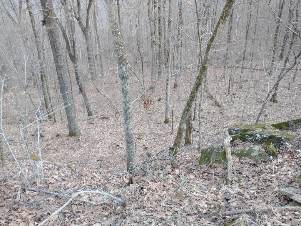 img_20230219_104844084.jpg