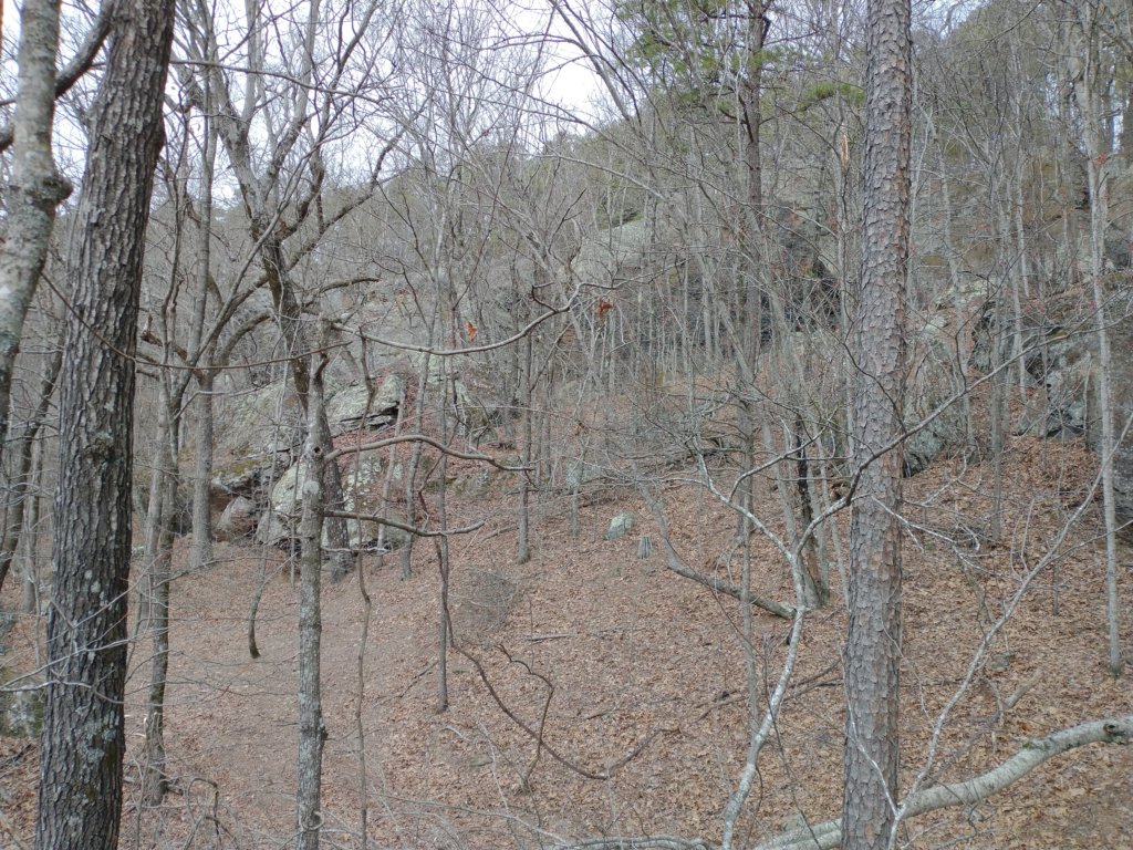 img_20230219_113049743.jpg
