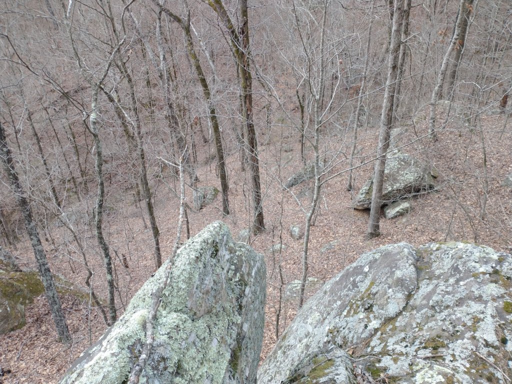 img_20230219_113116030.jpg