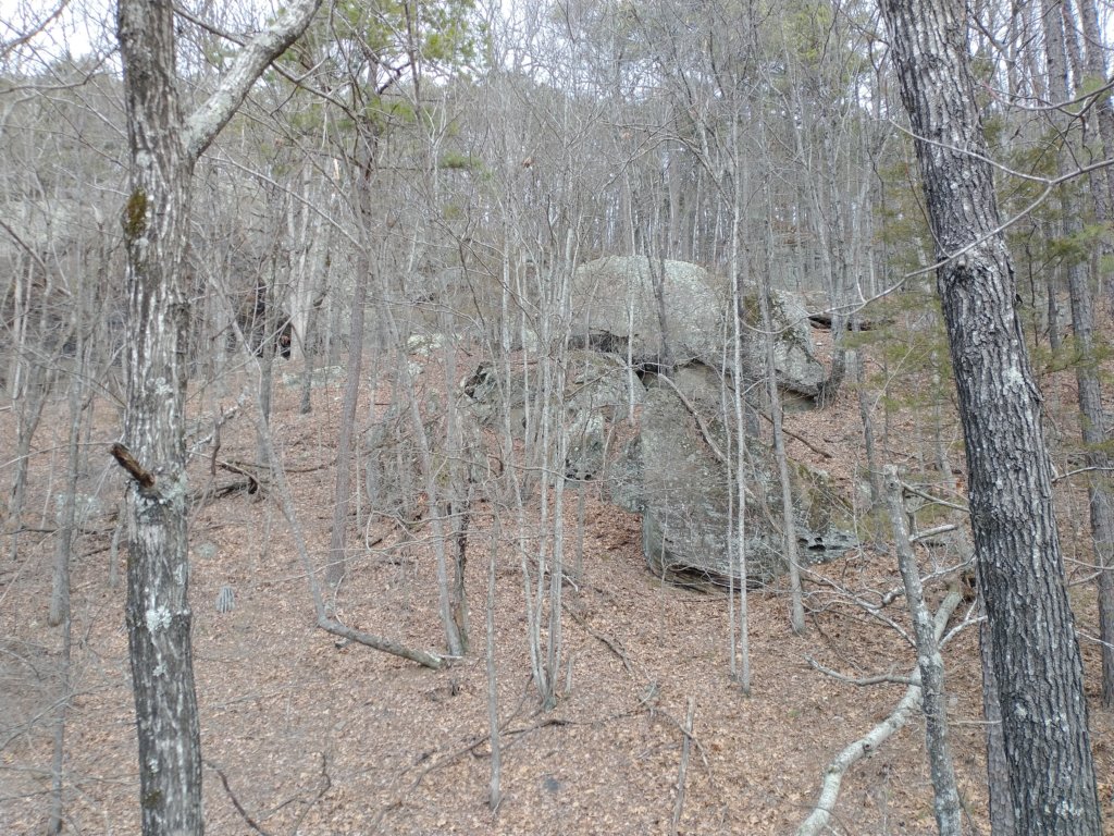 img_20230219_113126470.jpg