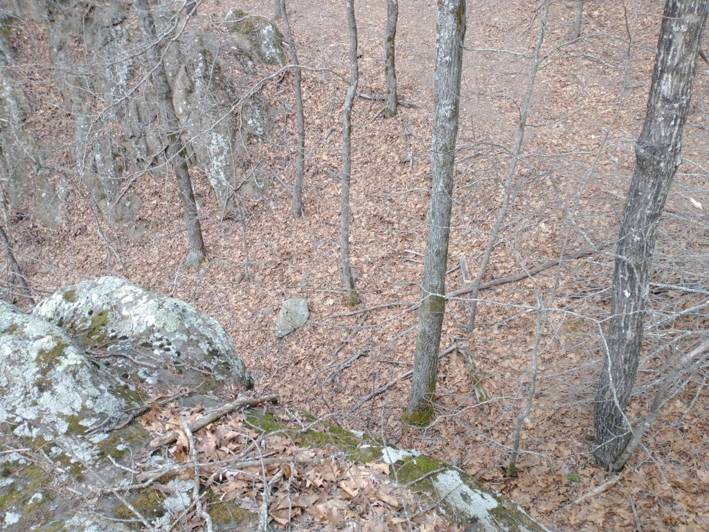 img_20230219_113131486.jpg