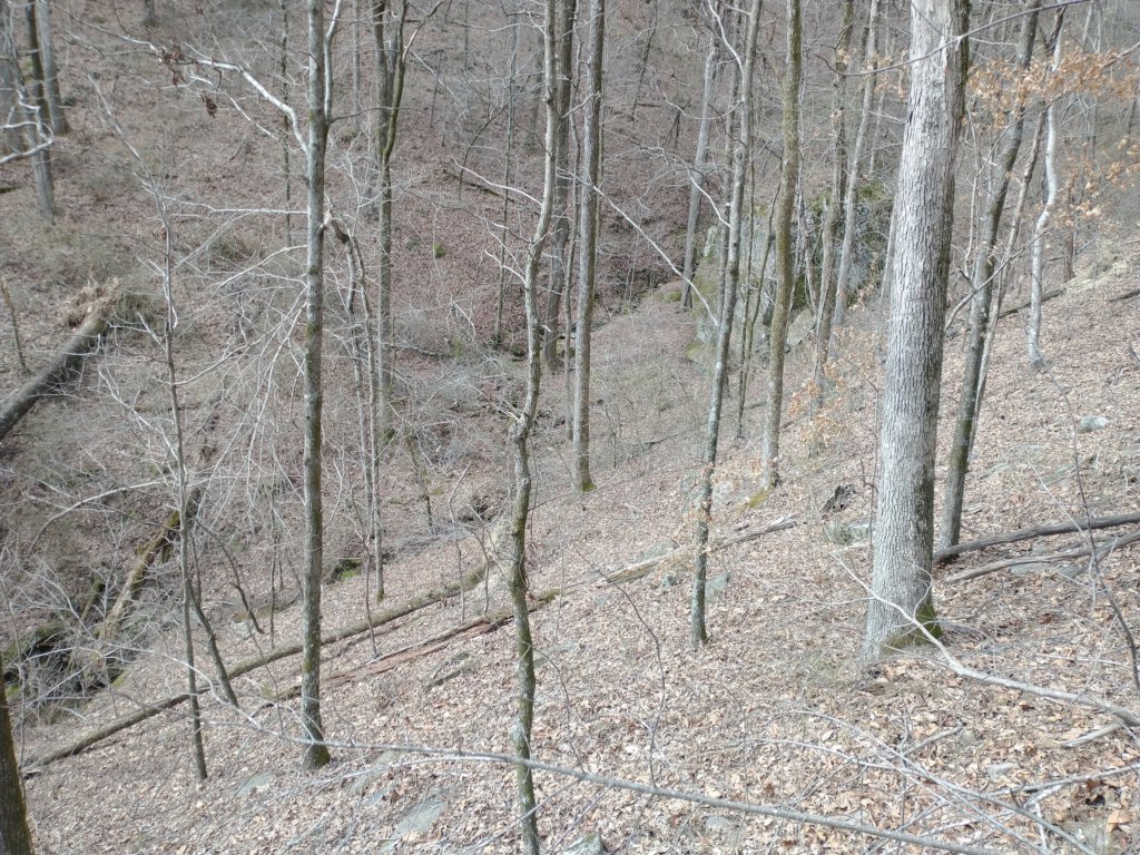 img_20230219_114516008.jpg