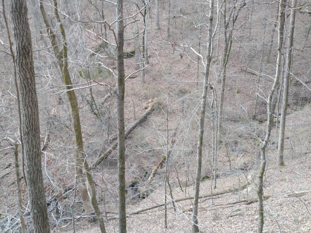 img_20230219_114518065.jpg