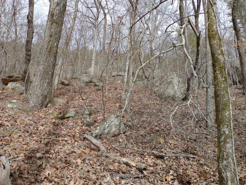 img_20230219_115026722.jpg