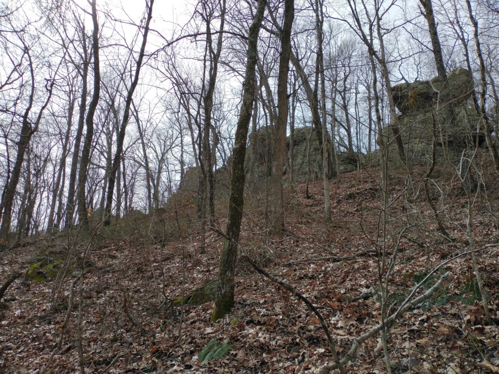img_20230219_115843047.jpg