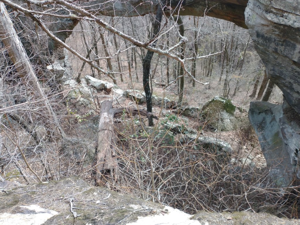 img_20230219_124728610.jpg