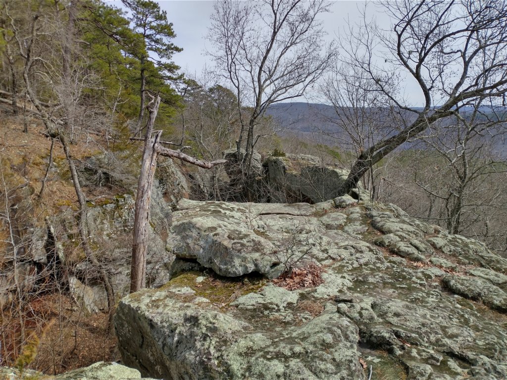 img_20230219_124800601_hdr.jpg