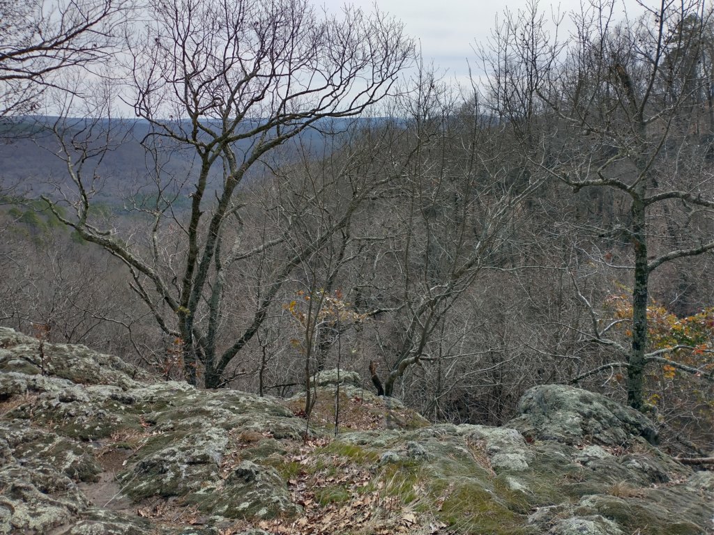 img_20230219_124805657_hdr.jpg
