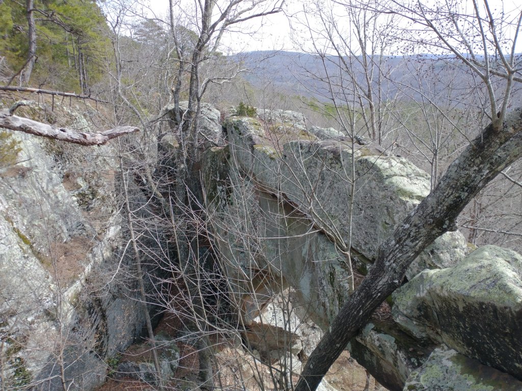 img_20230219_124834317.jpg