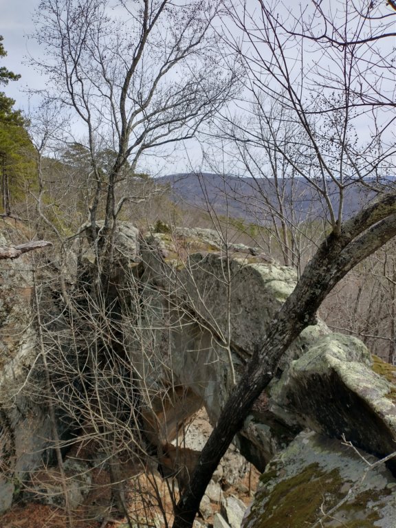 img_20230219_124855666_hdr.jpg