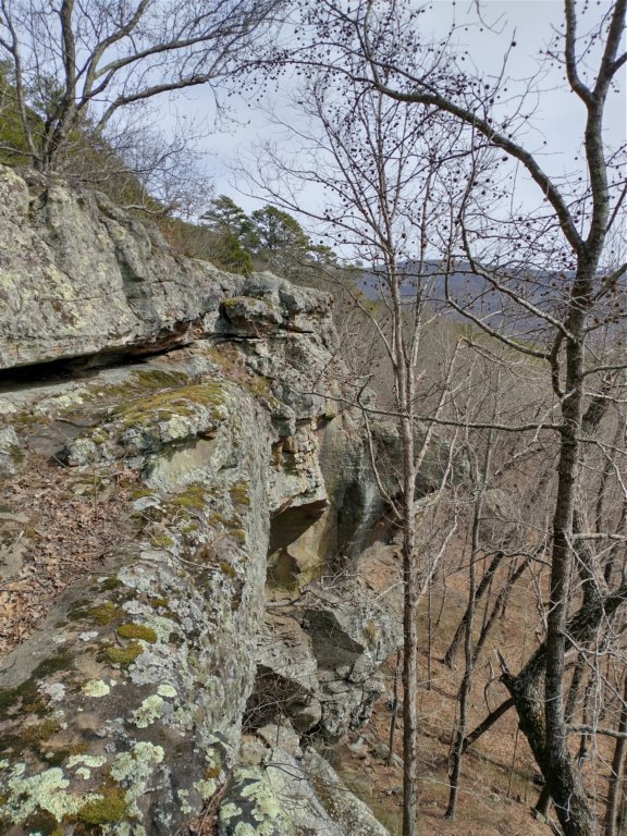 img_20230219_125002625_hdr.jpg