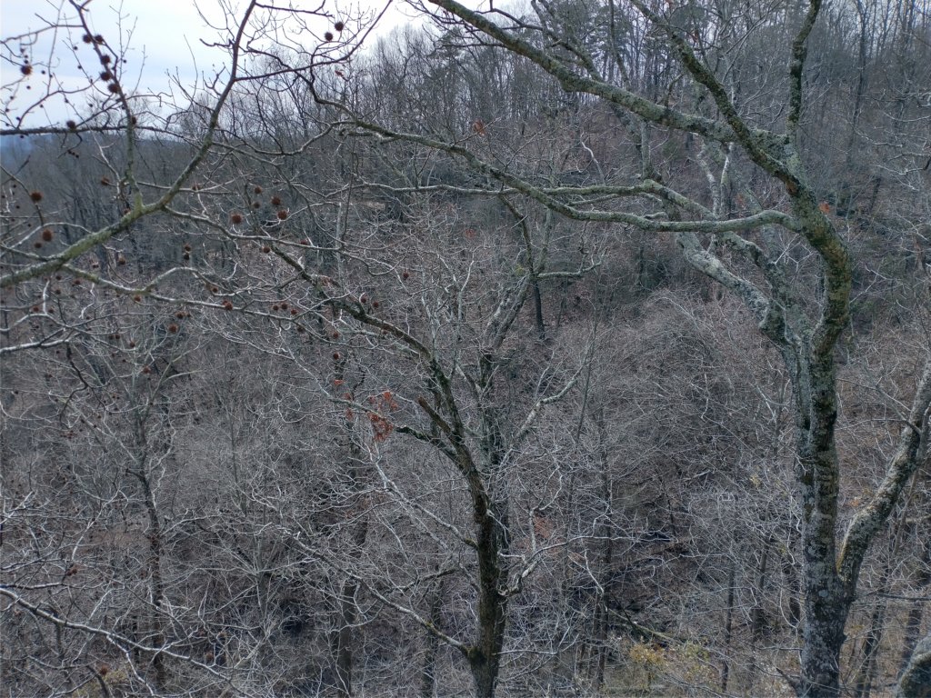 img_20230219_125031242_hdr.jpg