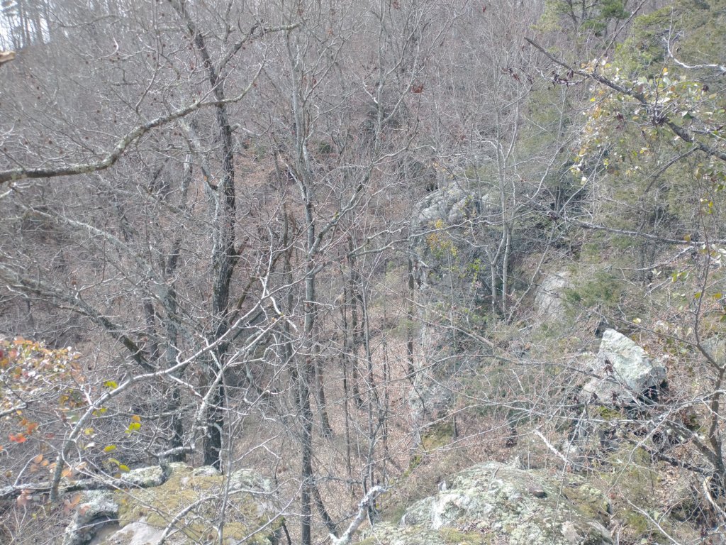 img_20230219_125243431.jpg