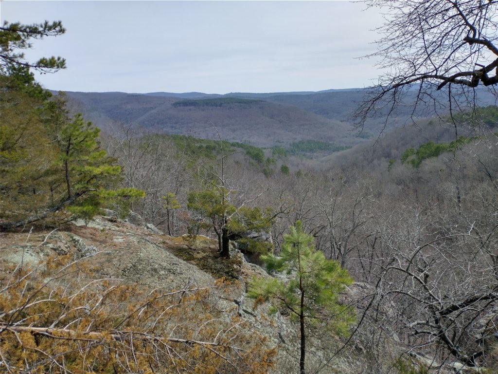 img_20230219_125712713_hdr.jpg