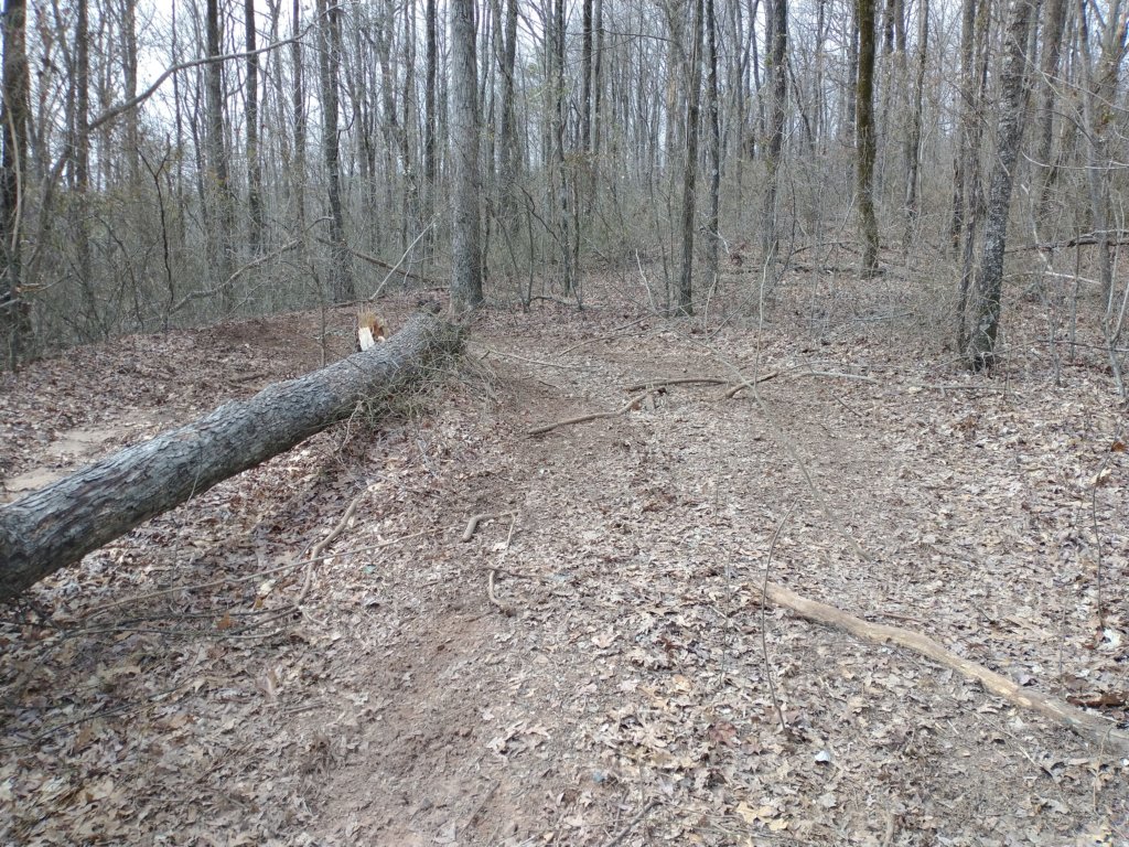 img_20230219_131223073.jpg
