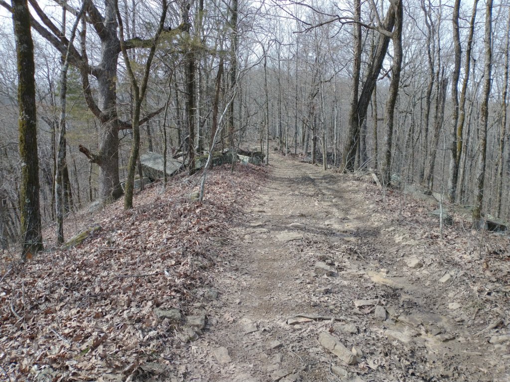 img_20230219_132815682.jpg